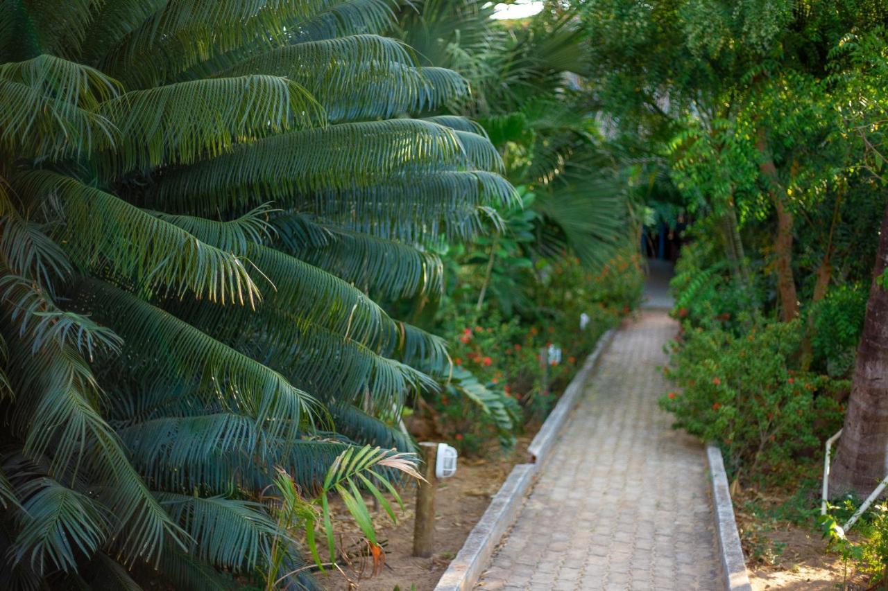 Pousada Vivenda Da Terra São Miguel do Gostoso Exterior photo